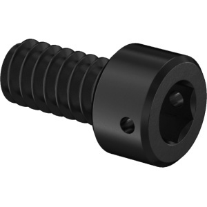 Stainless Steel Wire-Lockable Socket Head Screws 10-24 Thread Size, 3/8
