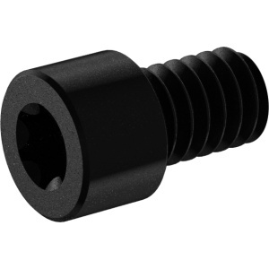Torx High Strenght Socket Head Screws 1/4