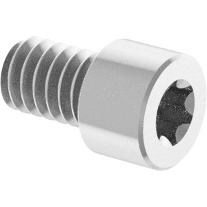 Torx High Strenght Socket Head Screws 1/4