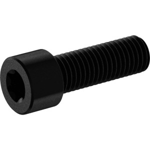 Torx High Strenght Socket Head Screws 1/4