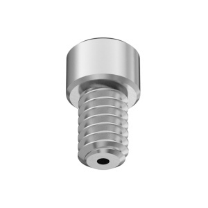 Vacuum Socket Head Screw 1/4