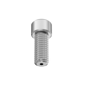 Vacuum Socket Head Screw 5/16