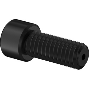 Vacuum Socket Head Screw 5/16