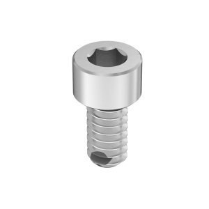 Fluoroelastomer O-Ring with A4 Vibration-Resistant Sealing Socket Head Screw 10-24 Thread size, 3/8