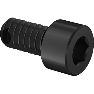 Fluoroelastomer O-Ring with A4 Vibration-Resistant Sealing Socket Head Screw 10-24 Thread size, 3/8