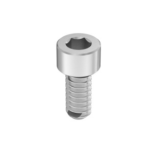 Fluoroelastomer O-Ring with A4 Vibration-Resistant Sealing Socket Head Screw 4-40 Thread size, 1/4
