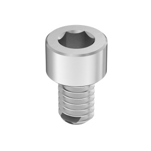 Fluoroelastomer O-Ring with A4 Vibration-Resistant Sealing Socket Head Screw 8-32 Thread size, 1/4