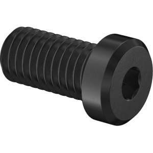 Zinc Plated High StrenghtLow-Profile Socket Head Screw 1/2